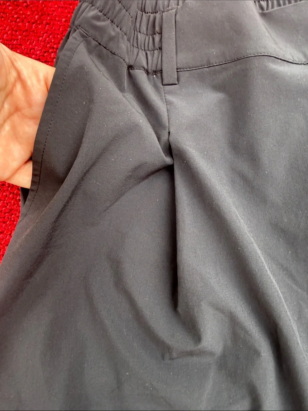 ALO Wide Leg Pants